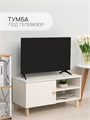 ТВ Тумба Treben с дверцей и 2-мя полками 03859