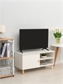 ТВ Тумба Treben с дверцей и 2-мя полками 03859